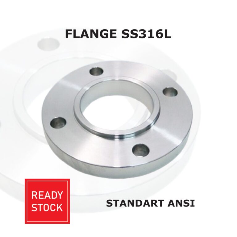 Flange SS316L standart ANSI
