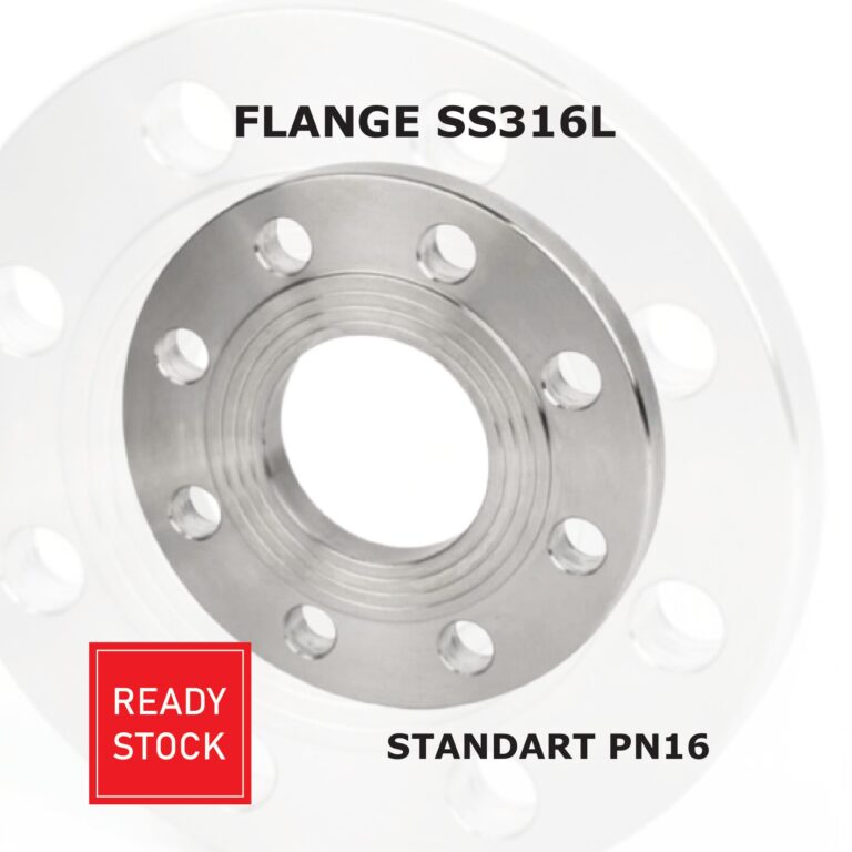 Flange SS316L standart PN16
